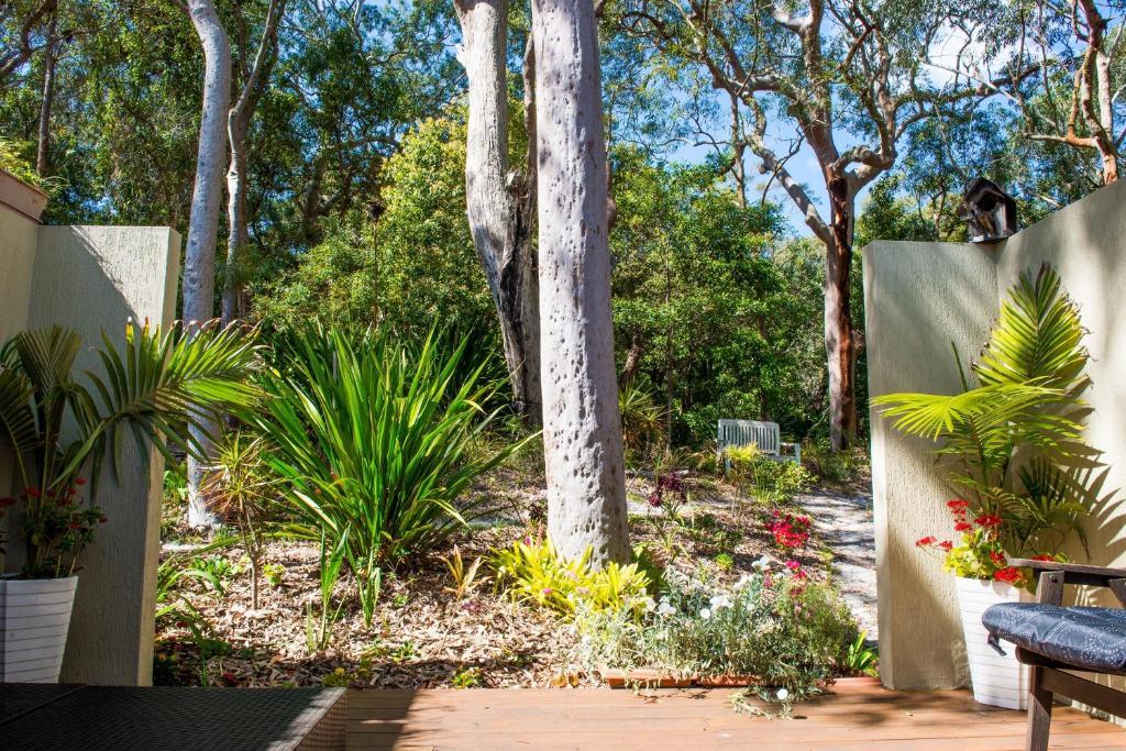 Nelson Bay Bed & Breakfast Camera foto