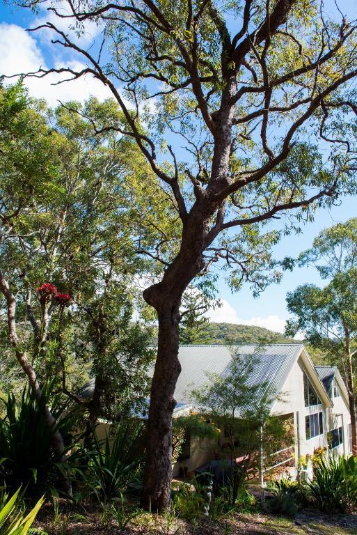 Nelson Bay Bed & Breakfast Esterno foto