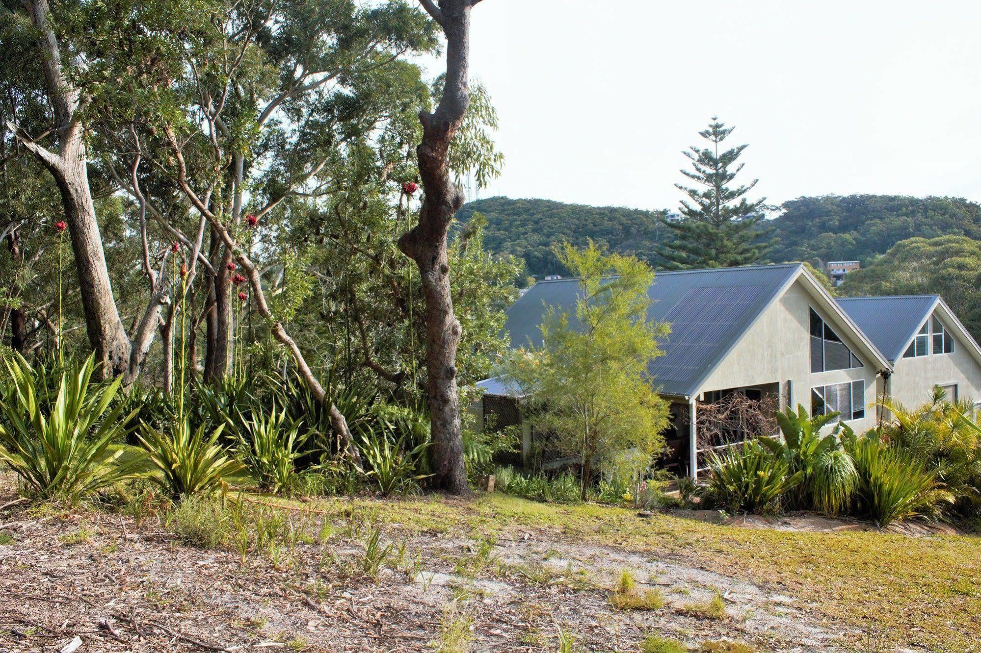 Nelson Bay Bed & Breakfast Esterno foto
