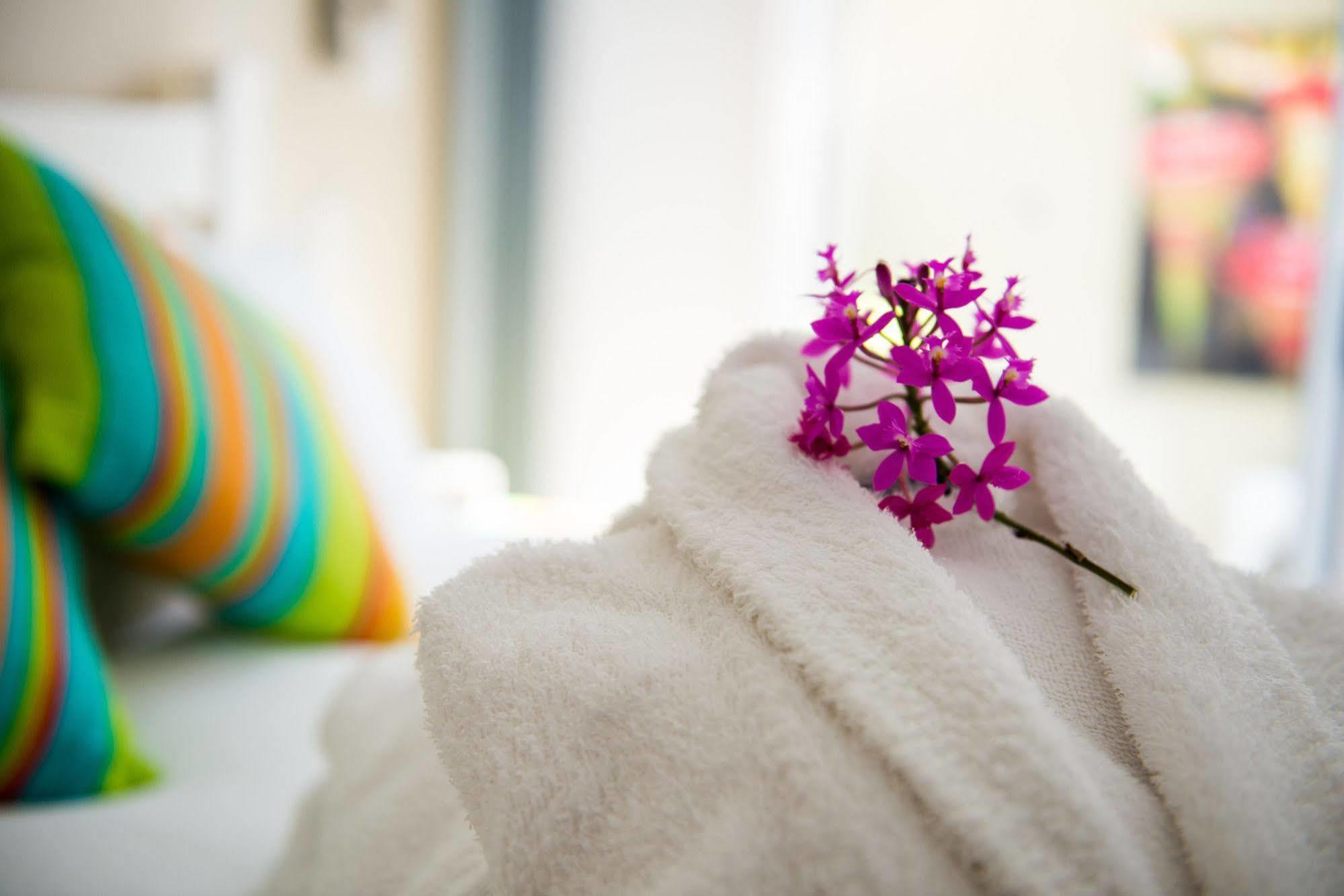 Nelson Bay Bed & Breakfast Esterno foto