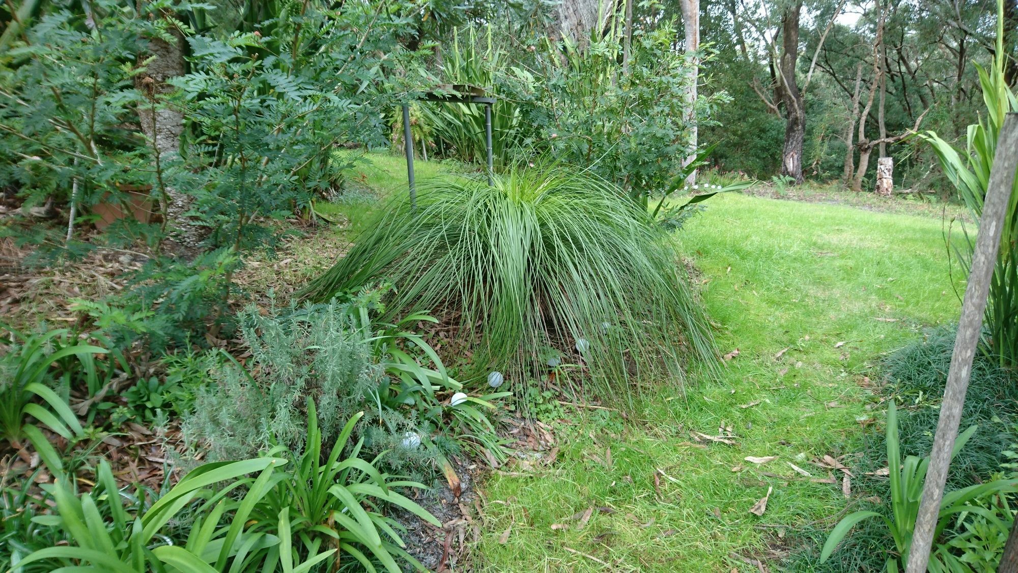 Nelson Bay Bed & Breakfast Esterno foto