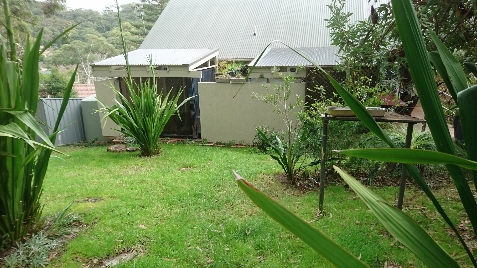 Nelson Bay Bed & Breakfast Esterno foto