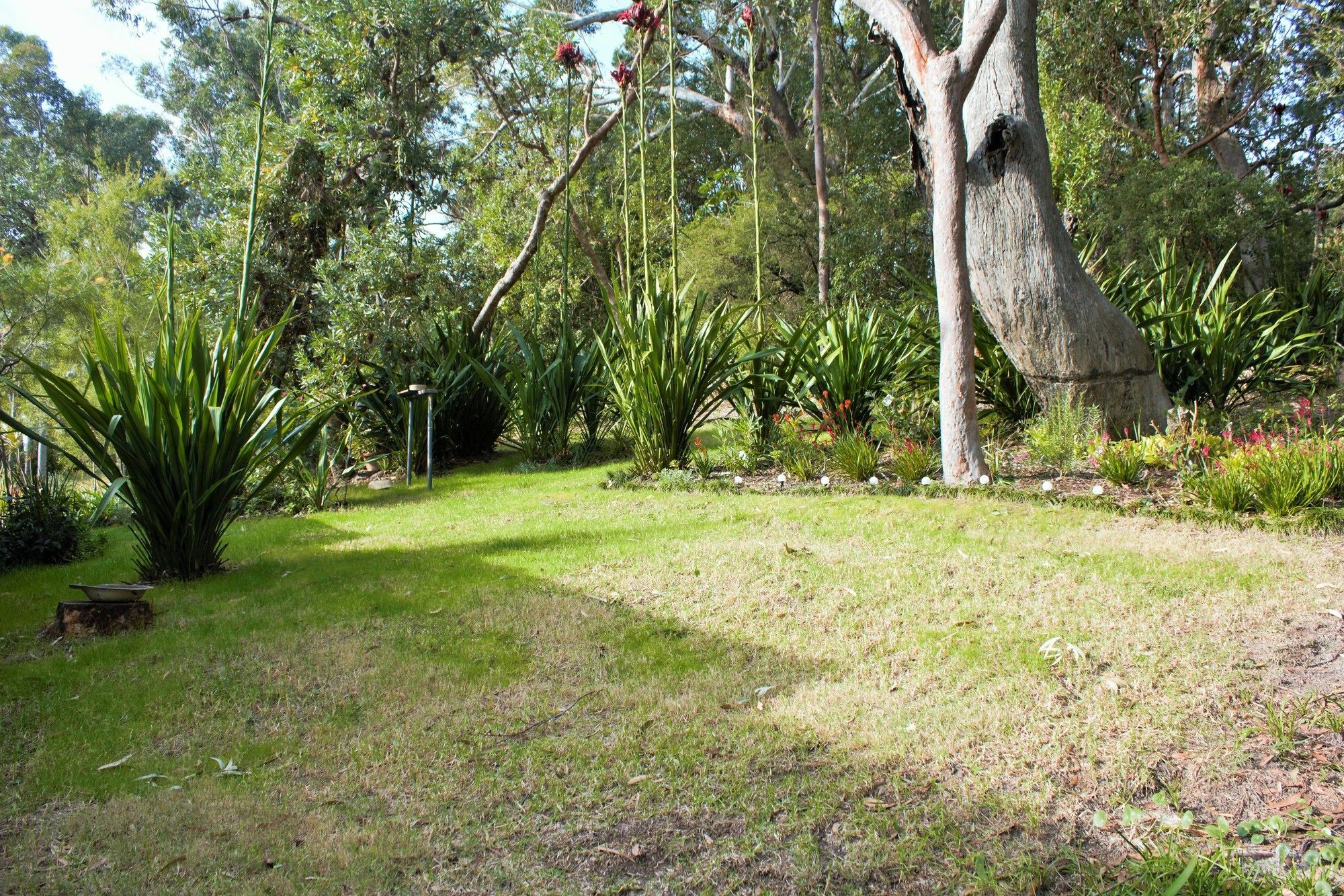 Nelson Bay Bed & Breakfast Esterno foto